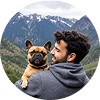 Biscuit, French Bulldog